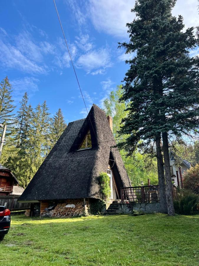 Mountain Getaway Cabin Cheia  Esterno foto
