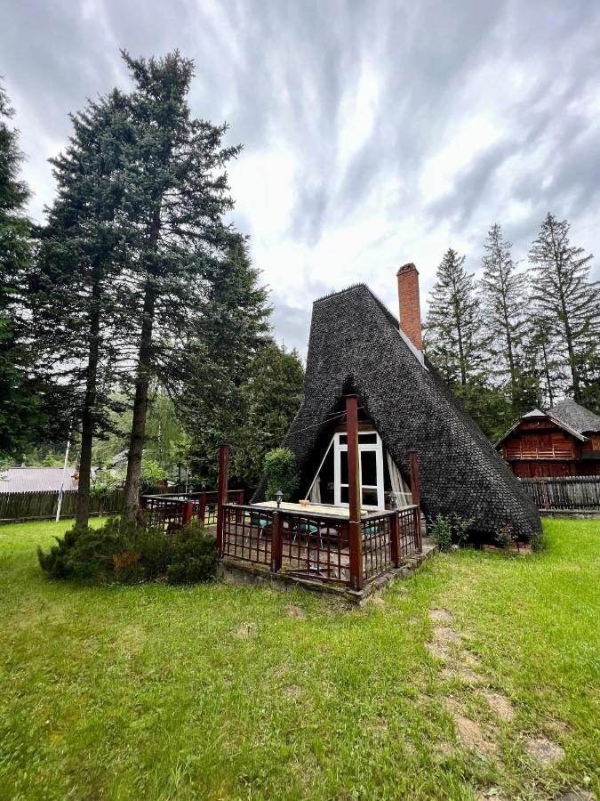Mountain Getaway Cabin Cheia  Esterno foto