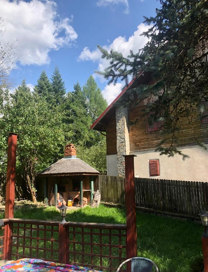 Mountain Getaway Cabin Cheia  Esterno foto