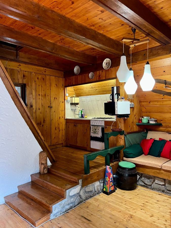 Mountain Getaway Cabin Cheia  Esterno foto